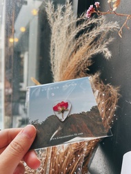 【客製化】小朵玫瑰透明款結他撥片 Guitar Pick