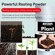 Rooting Powder - The Ultimate Solution for Plant Propagation