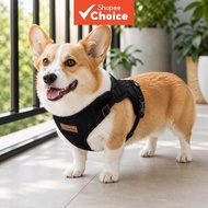 Pet Harness Set Adjustable Breathable With Matching Lead For Walking , Puppy Dress Dog Clothes Male 