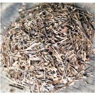 Dried Mahogany Twigs/ Dried Mahogany Twigs