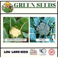 【GREEN SEEDS】🥦Benih Kobis Bunga/Broccoli (20-25 seed) / Cauliflower seeds/Broccoli seeds