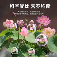 Shangyang Bowl Lotus Plant Nutrient Solution500mLGardening Flower Green Plant Flower Growing Fertilizer Rooting Organic