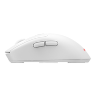 WIRELESS MOUSE (เมาส์ไร้สาย) SIGNO WG-902W VEXXER (WHITE) ()