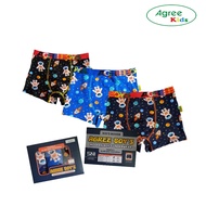 ( 3pc ) Boxer Agree 508 | Children's Patterned Boxer Briefs | CD Agree | Agree Kids - Kshop