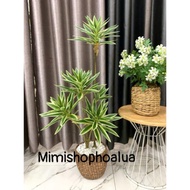 Fake Wealth Tree for Home Decoration, Wealth Tree with 3 branches, 5 branches, size 65-90 cm.