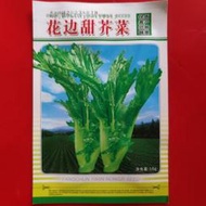 花邊甜芥菜種子 種籽10克四季種植甜芥菜好吃芥菜品種耐熱耐寒濃綠色