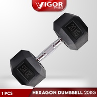 Vigor Fitness Hexagon Dumbbell Weight Training Fitness Dumbbell (20kg)