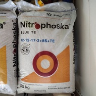 (  25 KG ) FERTILIZER NITROPHOSKA BLUE BEHN MEYER NPK 12 12 17 2 BAJA BUAH CAP SINGA KUDA