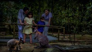 Tiket Destinasi 2 Taman: Singapore Night Safari + Rainforest Wild ASIA