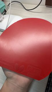 Butterfly Dignics 05