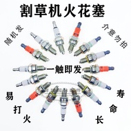 Lawn Mower Spark Plug CMR5H Gasoline Lawn Mower CMR6H/CMR7H Universal Igniter Fire Tip Fire Tip