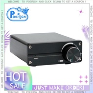 100W D100 TPA3116 Digital Power Amplifier Single Sound Channel Class D Desktop Subwoofer Sound Subwo