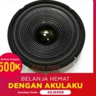 ✮ ACR CURVE Woofer 10 Inch Speaker ➽