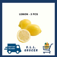 Fresh Fruits /Lemon / 柠檬 - 5pcs