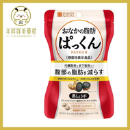 SVELTY - SVELTY 食脂燒腩丸 (黑薑消脂減肥丸) 70粒 (平行進口)