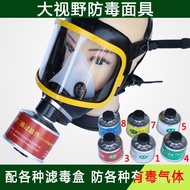 Full Face Mask Mask Mask Gas Mask 901 Dustproof Chemical Hengyuan Fire Spray Paint Large Field View 
