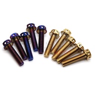 New Store Opening Promotion vespa GTS300 GTV300 LX150 LXV150 125 Burnt Titanium Screws Wheel Frame R