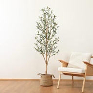 [ READY STOCK ] Artificial Olive Tree | Pokok Hiasan Zaitun