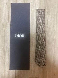 Dior mens Tie 領帶