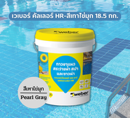 Weber color HR เวเบอร์ คัลเลอร์ เอช อาร์ | กาวยาแนวสระว่ายน้ำ สปา และซาวน่า | ขนาด 18.5 กก. | สีเทา 