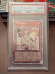 遊戲王 灰流うらら Prismatic SR 卡