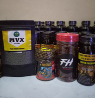 Pelet Treatment Channa Auranti Mangap Mangap