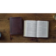 2025 ESV Large Print Compact Bible, Red Letter