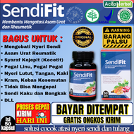 Obat Herbal Spesialis Encok Nyeri Sendi Dan Otot Kaku Syaraf Kejepit Solusi Untuk Lutut Kopong Keram