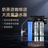 滿額免運愛惠浦淨水器商用大流量MC2雙聯淨水器奶茶店咖啡店專用直飲水機