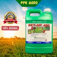 4L SET-UP 480 GLYPHOSATE 41% RACUN RUMPAI /RACUN RUMPUT LALANG/RACUN RUMPAI SERUPA ROUNDUP/HERBICIDE