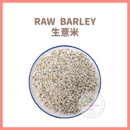 Barli Cina Mentah | Raw Barley | Raw Barley