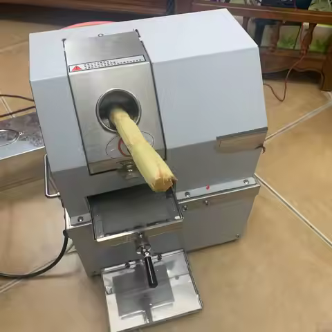 Stainless Steel Electric Vertical Sugar Cane Juicer Sugar Cane Juice Extractor Beverage Processing E