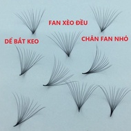 Mi Fan 10D 0.07 Curved Cd - Box Of 1000 Fans - Eyelash Extensions - Thien Ngoc Mi
