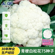 Green Stem Pine Cauliflower Seeds Seeds Autumn Cauliflower Seeds Spring Cauliflower Seeds Seeds Four