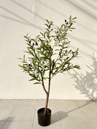 Olive Tree 120CM - ต้นมะกอก สูง 120 ซม. ต้นมะกอกปลอม ต้นไม้เกรดพรีเมี่ยมเพื่อการตกแต่ง ต้นไม้ประดิษฐ