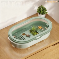 Turtle Tank Durable Practical Plastic with Basking Island Turtle Feeding Box Small Pet Accessories