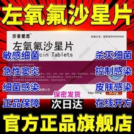 Rice Cauliflower Prevent Succulents 1.301.30 Ai