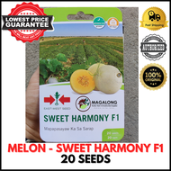 EAST-WEST SEEDS - MELON SEEDS - SWEET HARMONY F1 HYBRID - 20 SEEDS