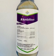 1LIT AMBITION BAYER / Baja amino asid / Baja organik