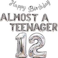 (SG SELLER) 12th Birthday Decoration Set, Silver Balloons, Happy Birthday Banner, Almost A Teenager 