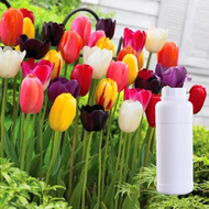 0.5kg 1kg Tulip Fragrance Oil Concentrate