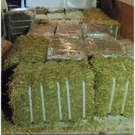 MAKANAN ARNAB TIMOTHY HAY 2nd cut 5KG