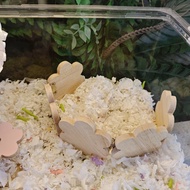 Hamster Golden Silk Bear Luding Chicken Landscaping Fence Honey Glider Fence Extra Long Wooden Fence