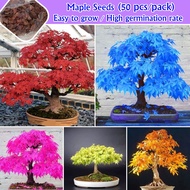 50PCS Mix Maple Tree Seed Americ Red Maple Seeds Flower Plant Bonsai Pot Live Flower Seeds for Planting Garden