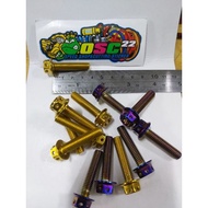 Probolt GOLD AND BLUE FLOWER DRAT BOLT 12 LENGTH 3.5CM 8X35 ORI HENGs