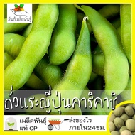 เมล็ดพันธุ์ ถั่วแระญี่ปุ่น คาริคาชิ 15 เมล็ด Karikachi Edamame Seed เมล็ดพันธุ์แท้100% นำเข้าจากต่าง