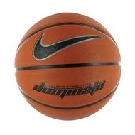 Nike basketball Dominate