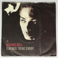 Terence Trent D'Arby - Wishing Well - Single Vinyl PH Black Disc