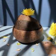 Combo 10 bát gáo dừa / 10 chén gáo dừa đựng salad trái cây trang trí decor