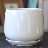 [in stock] Extra-large white ceramic flower pot with tray, specially designed for Phalaenopsis orchi